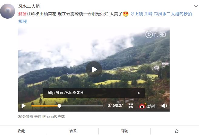 張子誠最新風水視頻，揭秘運勢之道，深度解讀風水奧秘