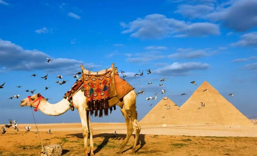 探尋古埃及文明的影視魅力，最新埃及電影一覽