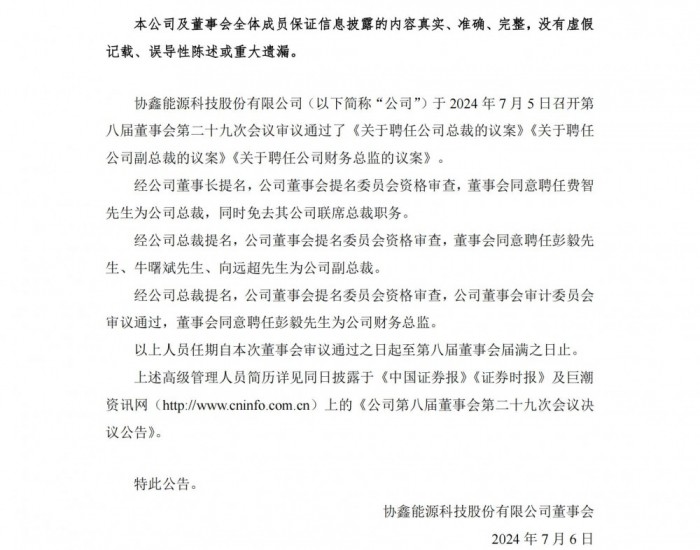 協(xié)鑫集團新任總裁揭曉，小巷中的獨特風味探索之旅背后的力量之源