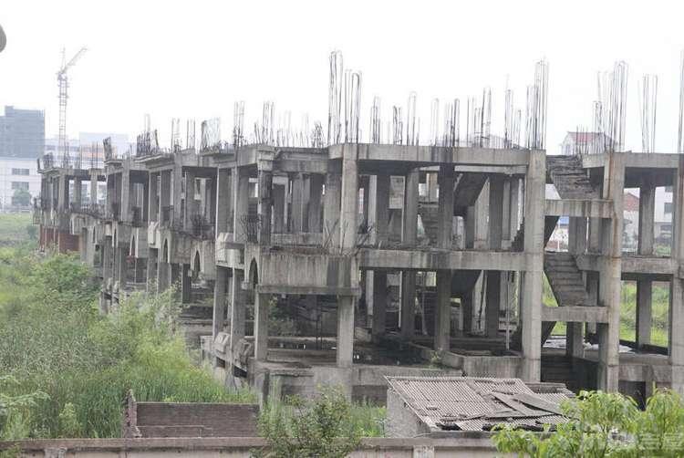 臥龍南苑最新動(dòng)態(tài)，時(shí)代印記與社區(qū)發(fā)展脈絡(luò)