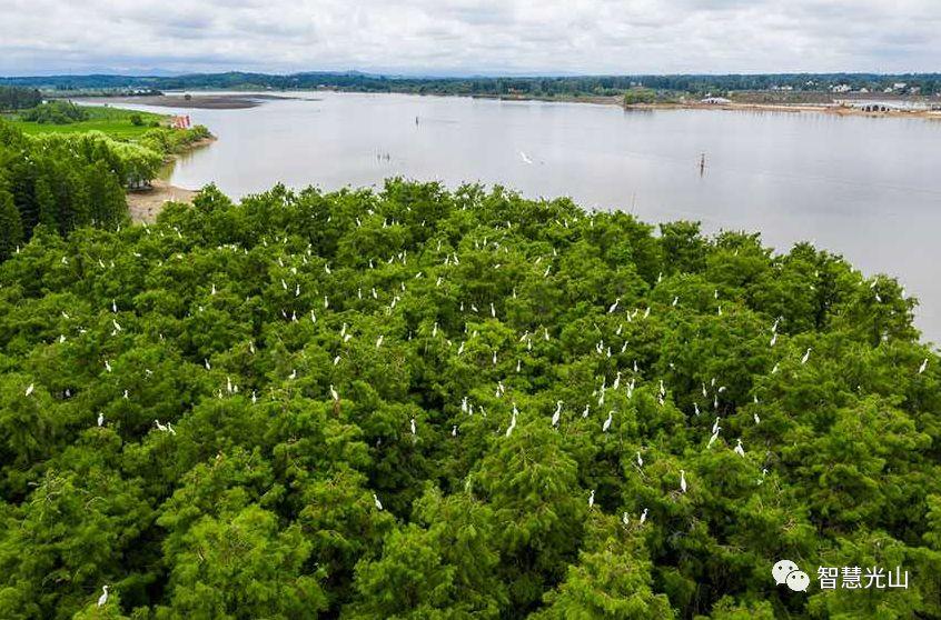 光山濕地公園最新動態(tài)揭秘，奇遇連連！