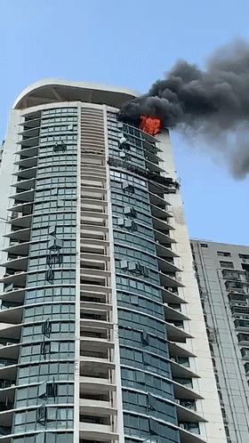 港逸花園最新動(dòng)態(tài)，家的溫馨與友情的綻放時(shí)光