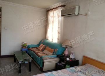 平陸縣租房最新信息及小巷特色小店探索！