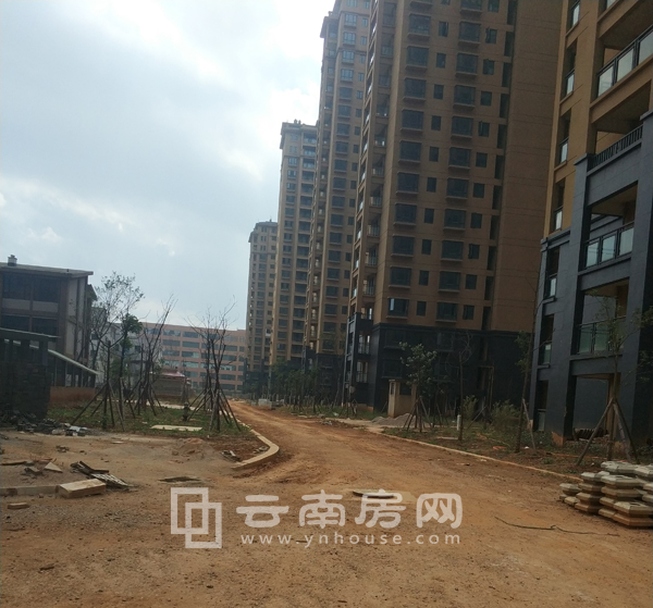 優(yōu)活城最新動態(tài)，塑造現(xiàn)代生活方式的里程碑