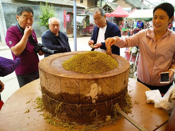 溫縣食品公司最新招工信息及步驟指南