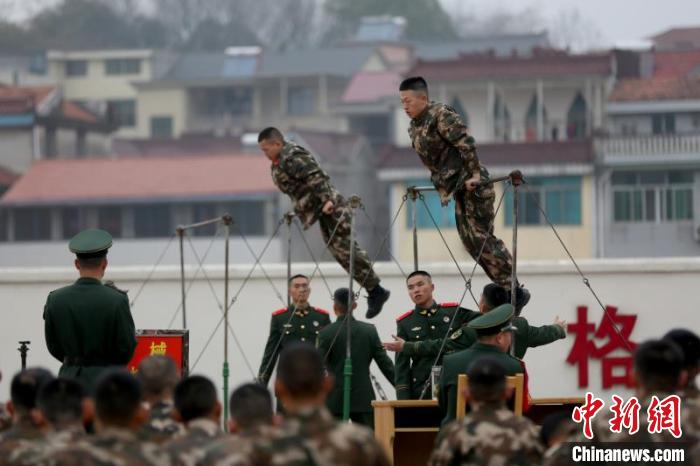 浙江金華武警最新動態(tài)更新，最新消息匯集