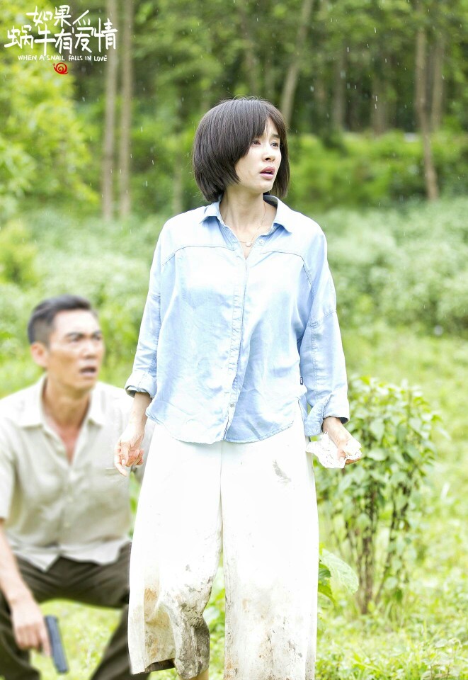 王子文電視劇最新力作，自信與成長的勵(lì)志之旅，歡笑與淚水的旅程