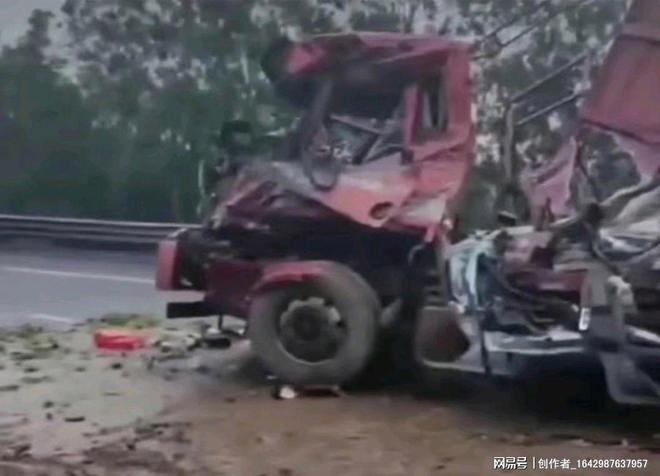 河源高速車禍最新消息，美味奇緣背后的驚險(xiǎn)故事