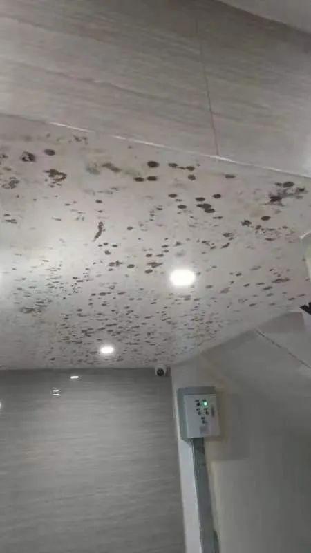 紹興袍江地區(qū)最新房產(chǎn)樓盤概覽