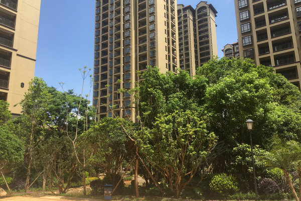 昆明興冶國際最新房價，時代印記與城市的脈動