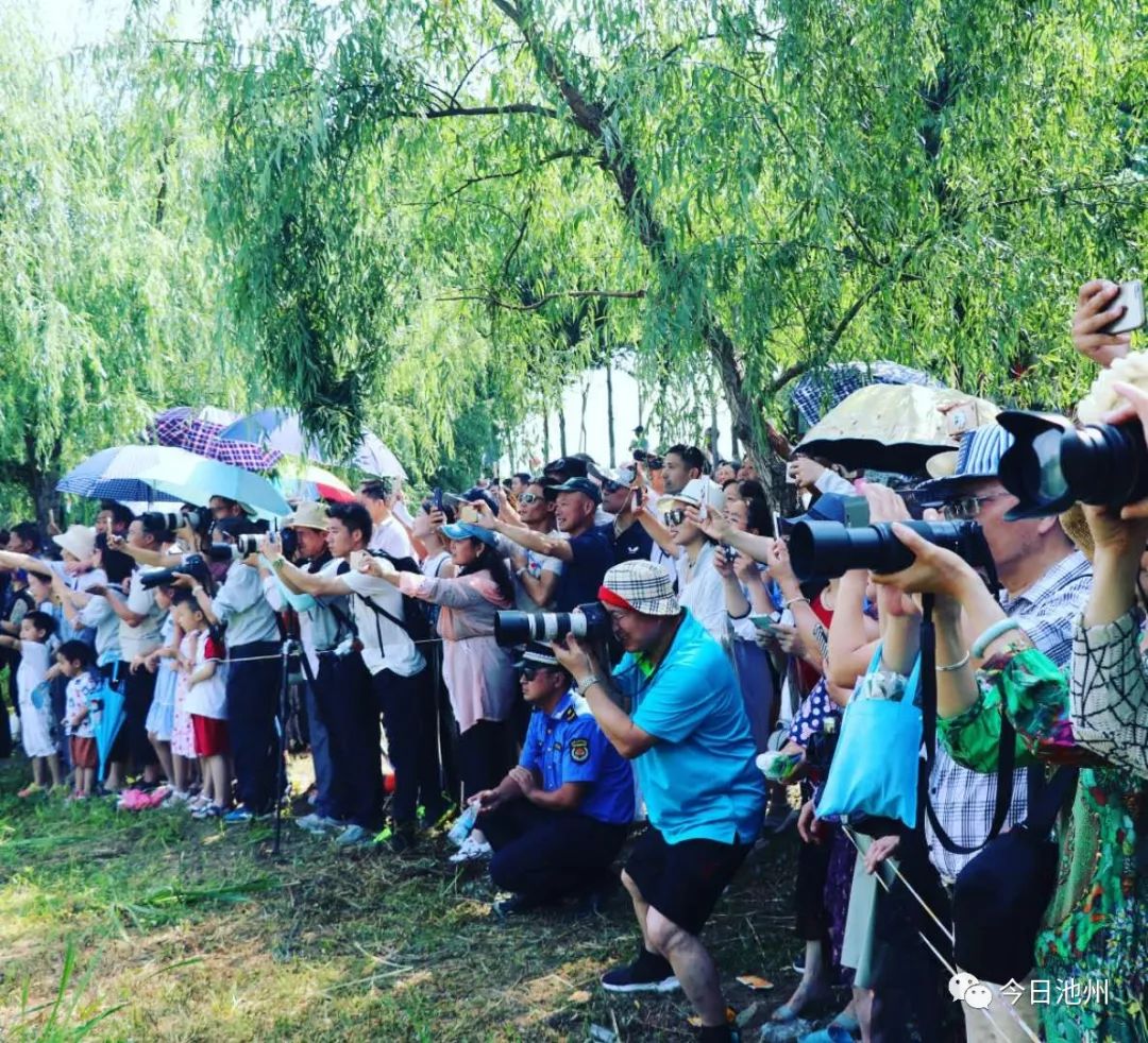 池州喪事最新做法視頻，傳統(tǒng)與現(xiàn)代交融的變革探索