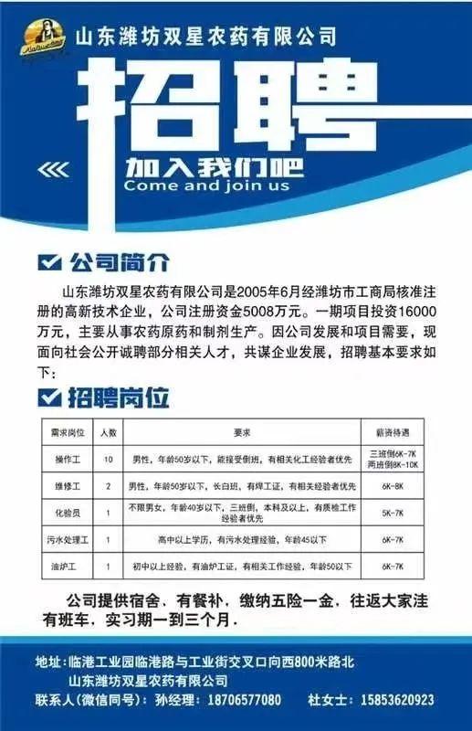 濰坊新旭電子最新招聘，小巷中的隱藏寶藏，探索無(wú)限機(jī)遇！