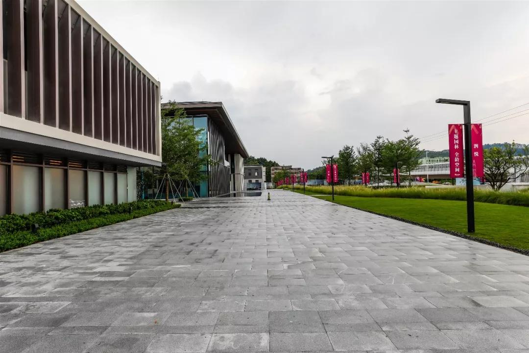 徐水匯潤悅居最新動態(tài)，科技重塑生活體驗