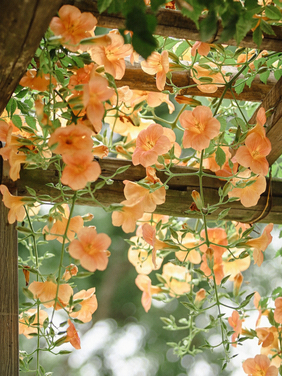 路燈設(shè)備 第72頁