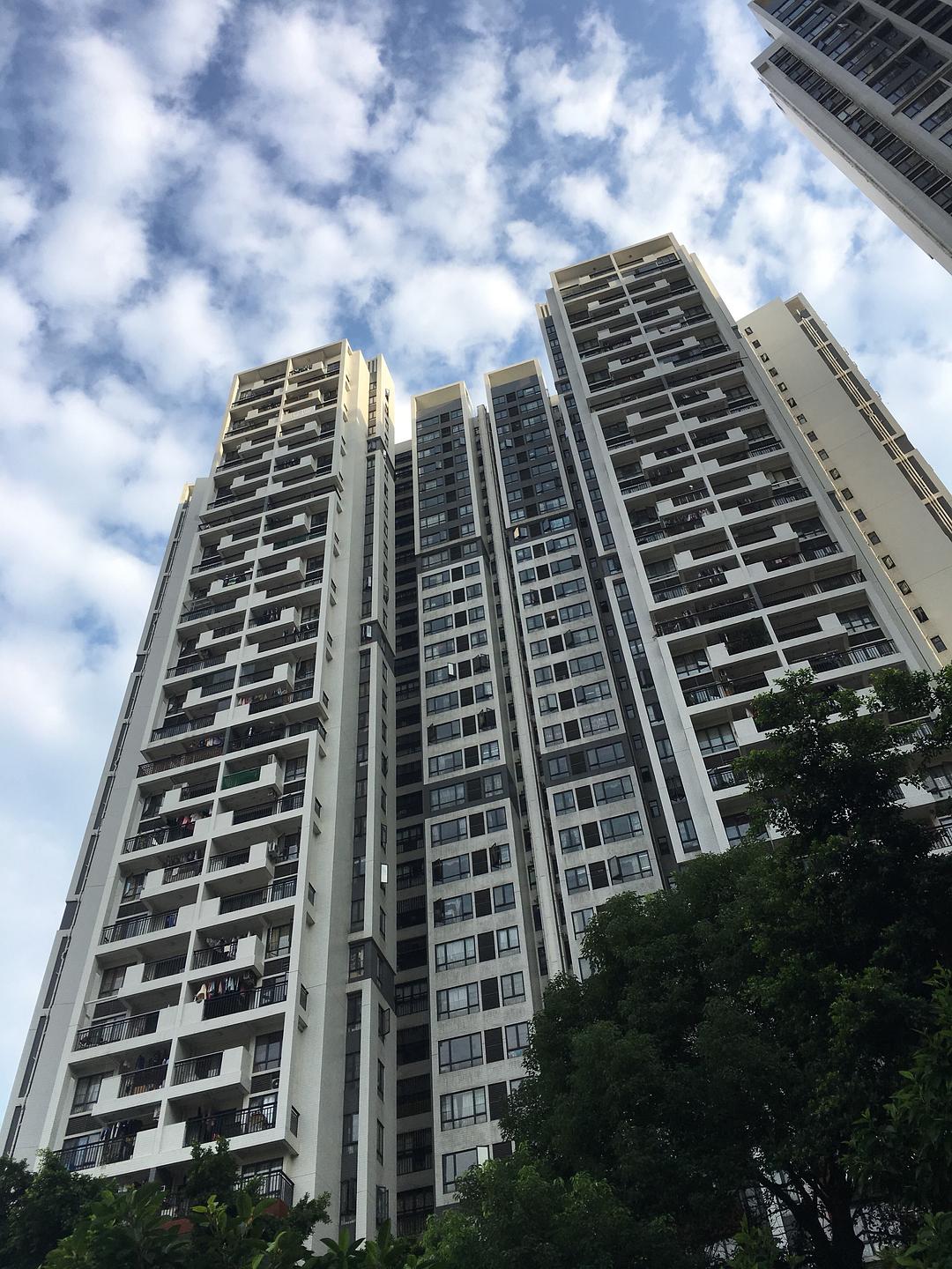 廣州東湖映月最新房?jī)r(jià)揭秘，自然美景與居住空間的完美融合之旅