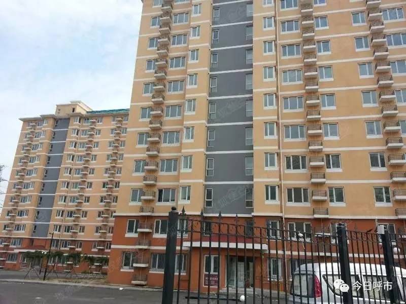 保定公租房最新動態(tài)，溫馨小家的故事更新迭出