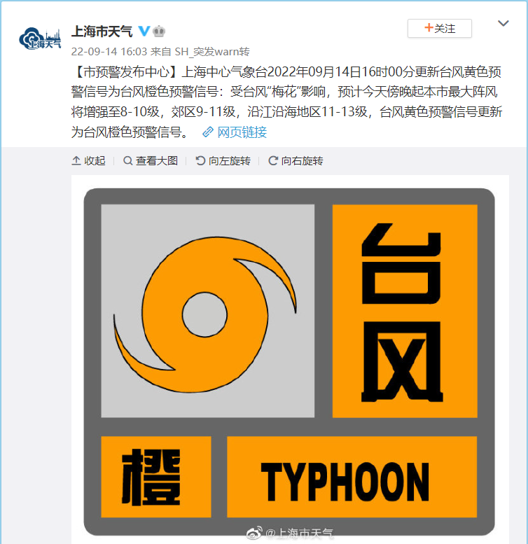 上海臺風實時更新，最新動態(tài)與報告